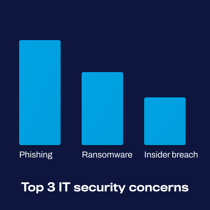 Top IT security concerns